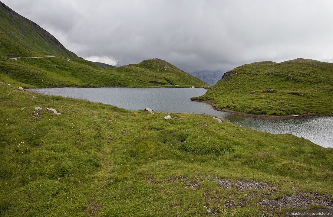 First, Grindelwald